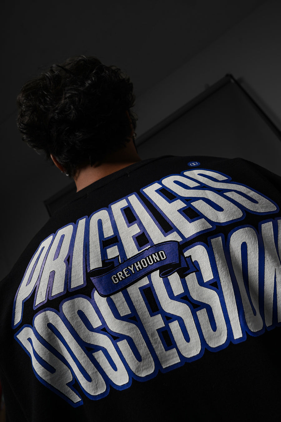 Priceless Possession